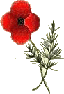 For Remembrance - 