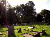 St James', Sutton on Hull churchyard